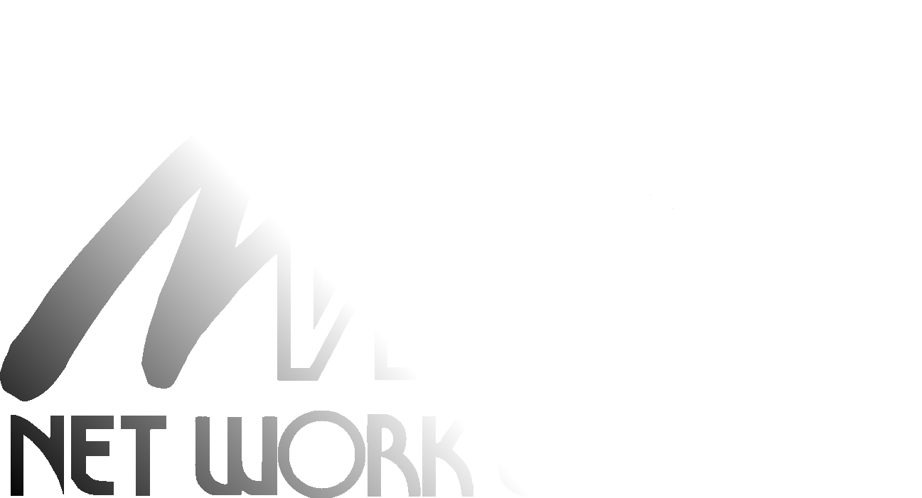 株式会社ネットワークシステム