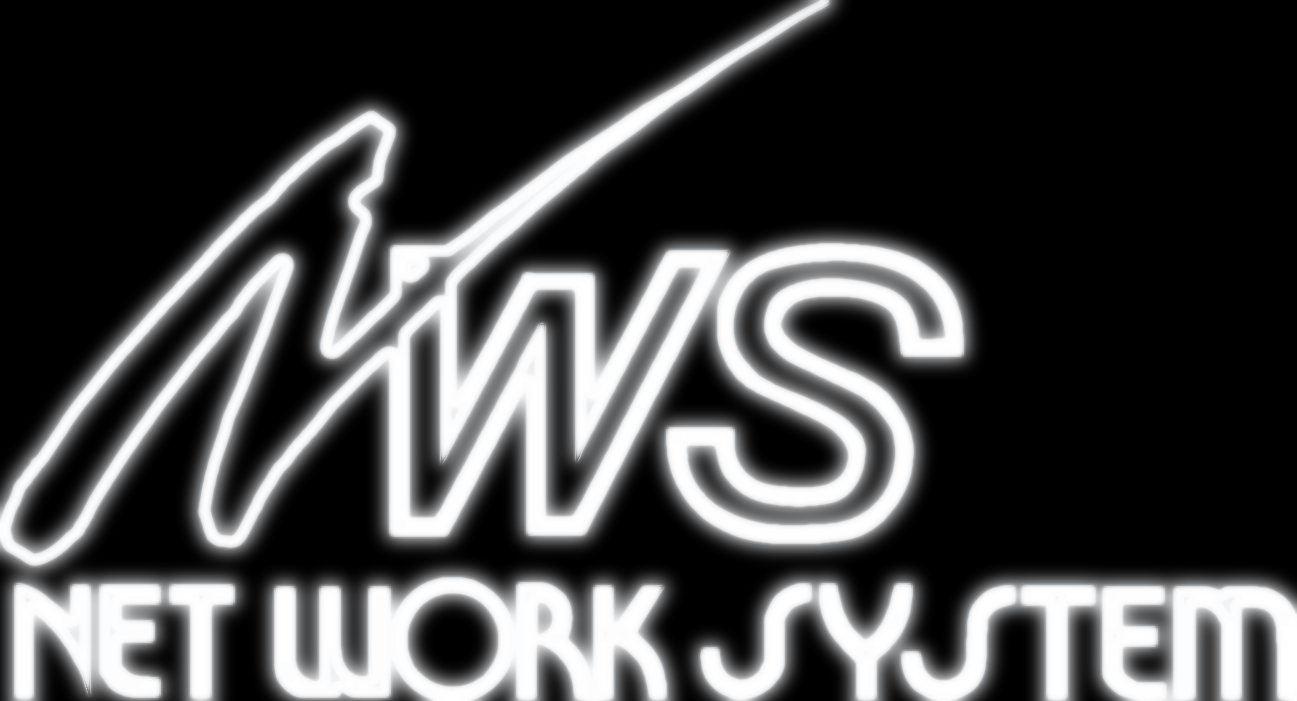 NETWORK SYSTEM